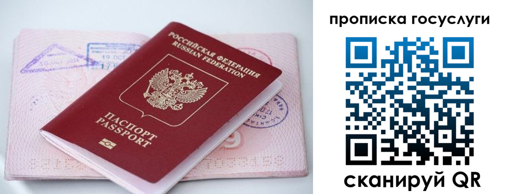 прописка законно в Мамадыше